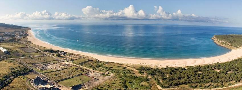 Apartamento Palo Cortao Jerez de la Frontera Eksteriør bilde