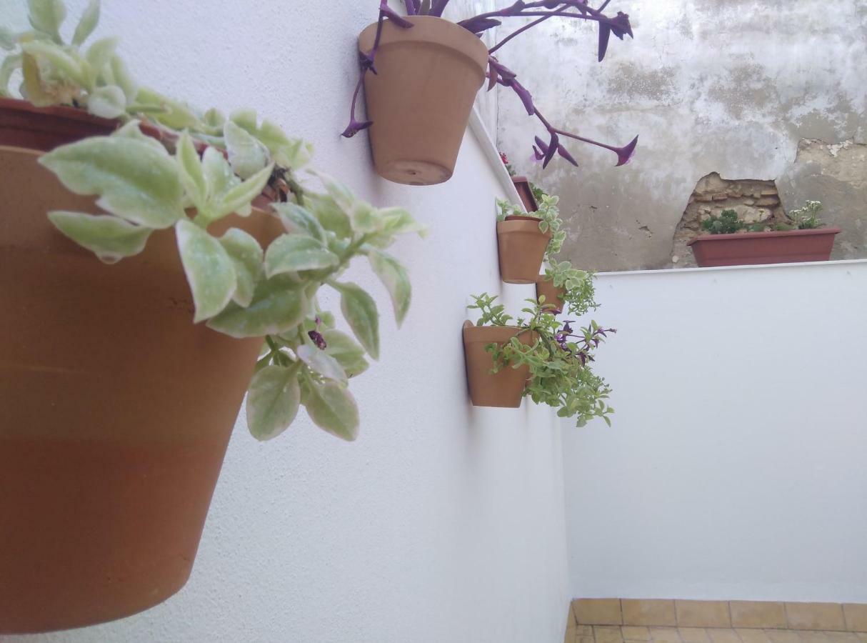 Apartamento Palo Cortao Jerez de la Frontera Eksteriør bilde